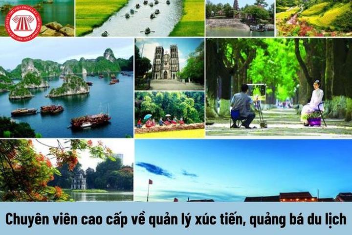Hotspot Matrix: Biến Các nhà khoa học phân tích thành cơ hội marketing đột phá