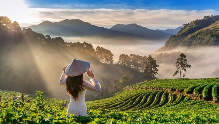 Xu hướng Soi 2 app du lịch đang hot: Hotspot Matrix tiết lộ bí quyết video viral