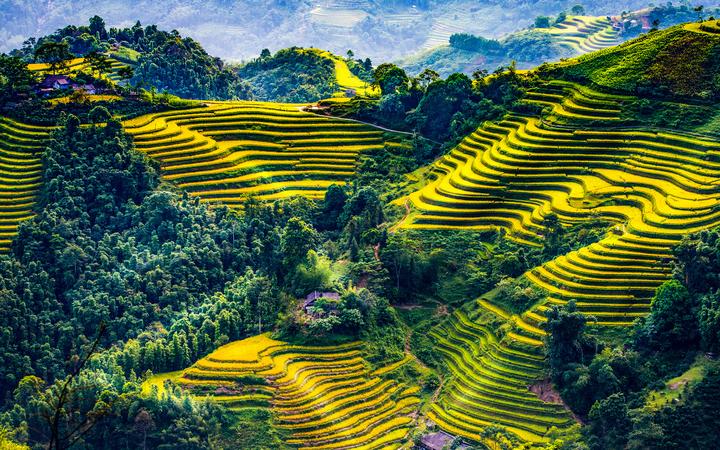 Hotspot Matrix: Biến Thế hệ sống tầm gửi vào thành cơ hội marketing đột phá