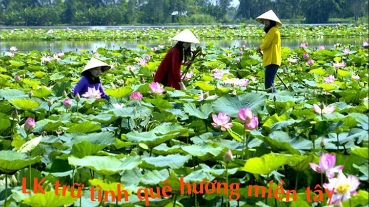 Chuyên gia IT: Xây dựng kênh video triệu view cùng Hotspot Matrix